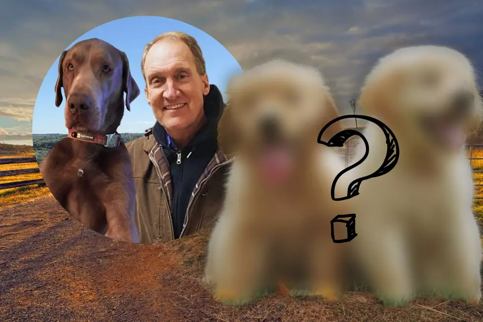 Cat Country’s Favorite Montana Rancher is Considering a New Addition