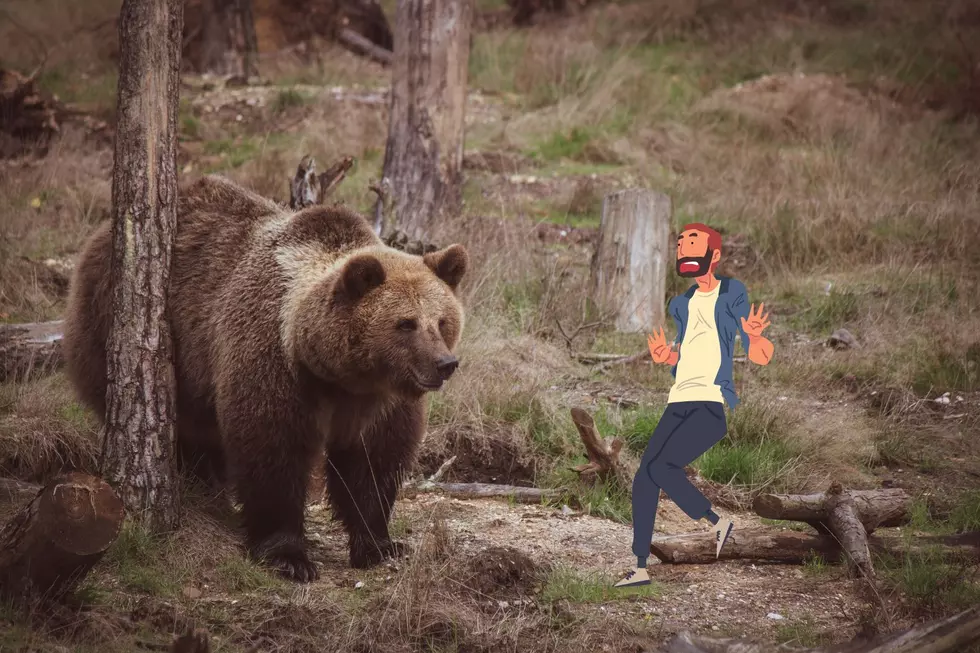 Would You Wear this Bizarre ‘Bear Protection Suit’ in Montana?